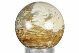 Polished Petrified Palm Wood Sphere - Indonesia #327414-1